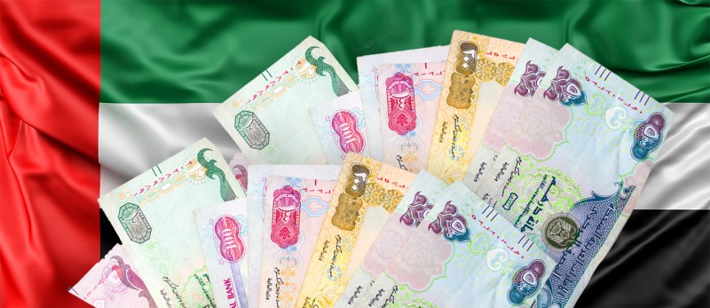 Les Émirats arabes unis publient un guide pour déterminer l'obligation fiscale des sociétés pour les particuliers