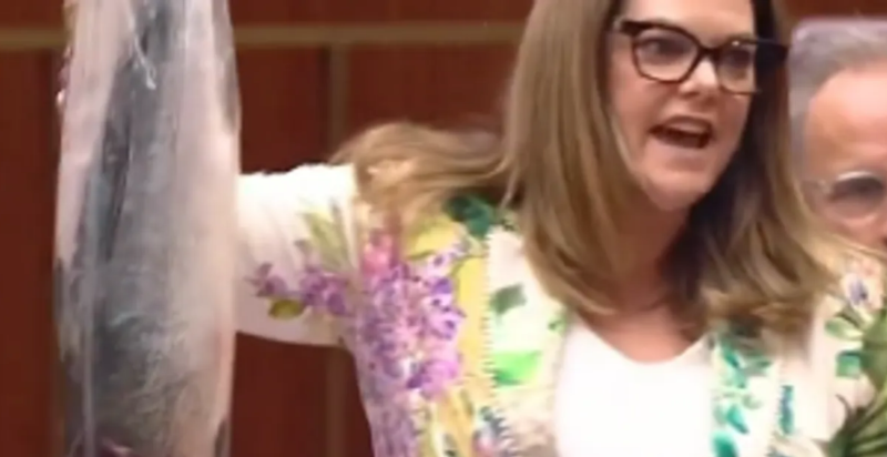Fishy protest: Australian lawmaker hangs salmon in parliament to oppose farming policy