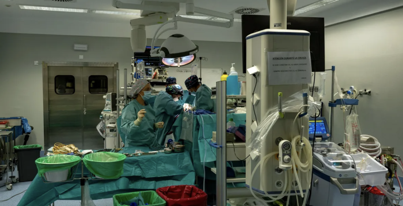 لأول مرة في العالم.. زراعة كبد خنزير في جسم إنسان