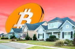 Americans see crypto as niche and ‘risky’ despite Trump’s pro-crypto push, corporate embrace: Gallup