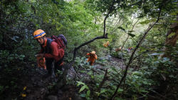 Debris located in hunt for missing Indonesian surveillance plane carrying 11