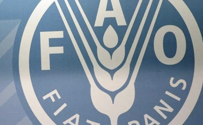 الفاو: أسعار الغذاء العالمية عند أعلى مستوى في أكثر من عامين