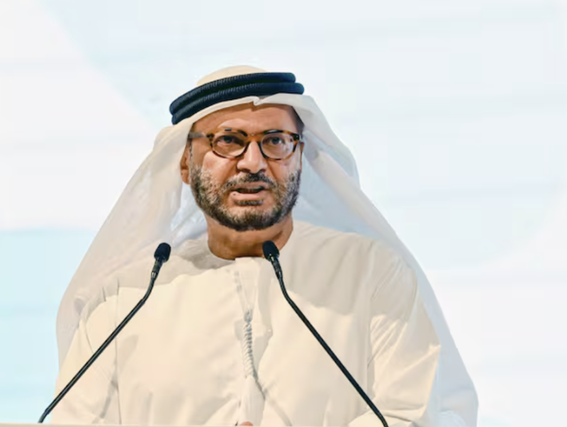 Gargash : Israel ‘law of jungle will not govern international conduct’